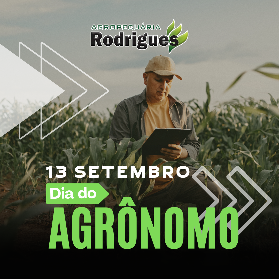 Dia do Agrônomo post instagram data comemorativa agronomia